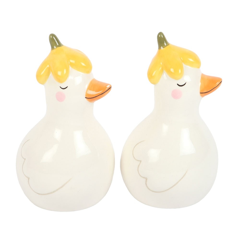 Something Different - Daisy & Duck Salt and Pepper set - Multicolours